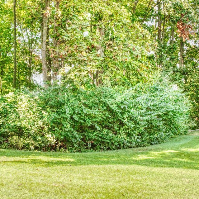 Hickory Grove - Beautiful landscaping